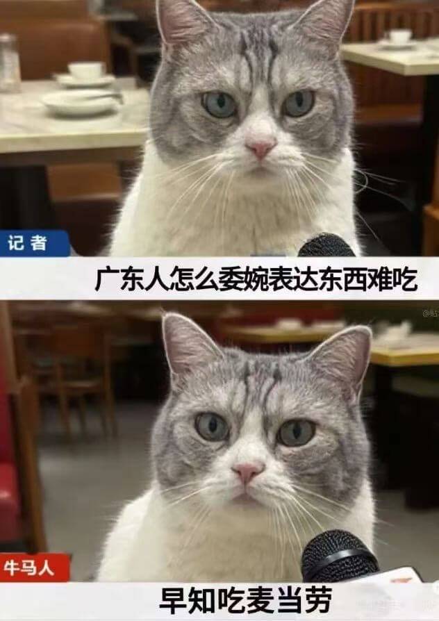 记者广东人怎么委婉表达东西难吃牛马人早知吃麦当劳