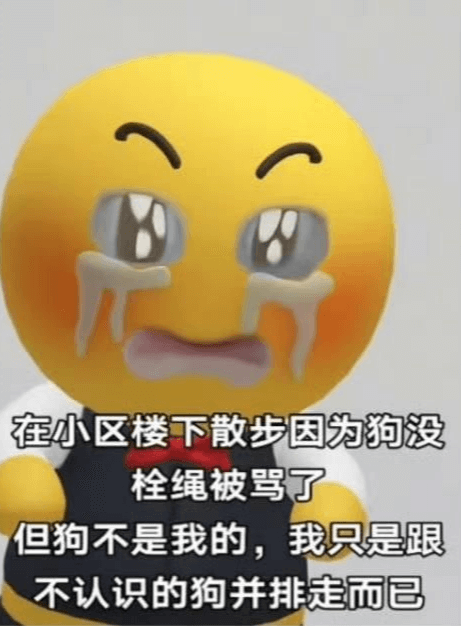 在小区楼下散步因为狗没栓绳被骂了但狗不是我的，我只是跟不认识