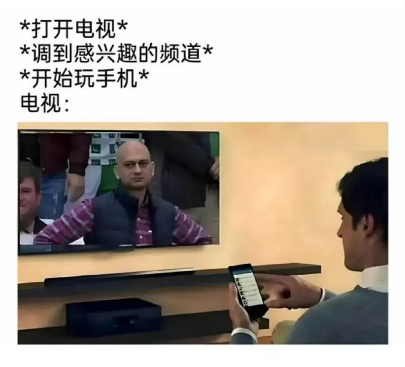 *打开电视**调到感兴趣的频道**开始玩手机*电视：