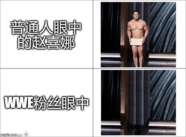 普通人眼中的赵喜娜WWE粉丝眼中的赵喜娜