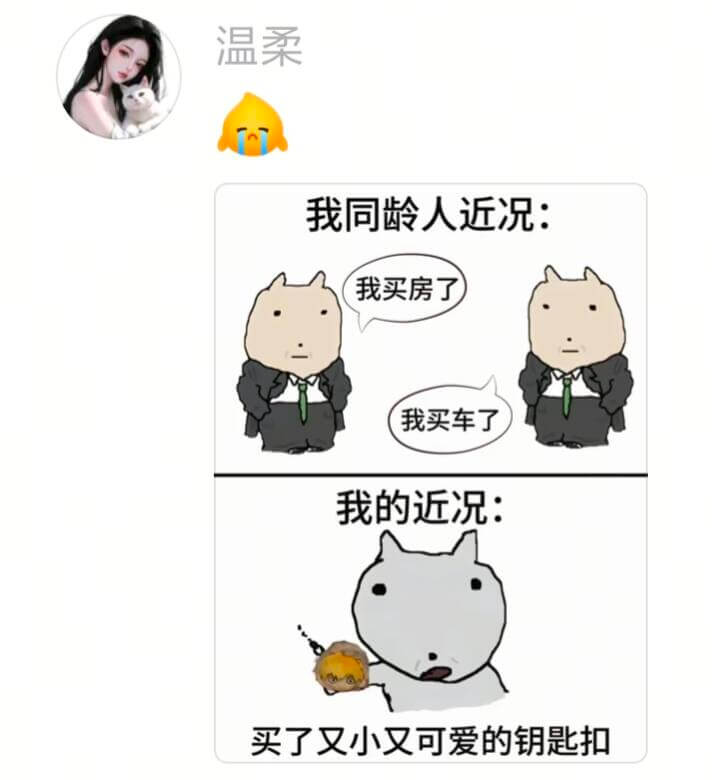 温柔我同龄人近况：我买房了我买车了我的近况：买了又小又可爱的