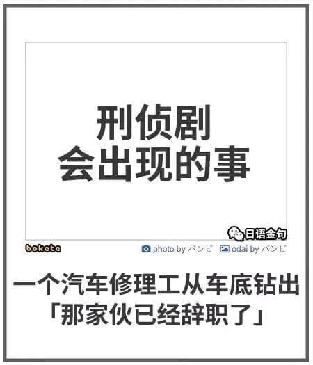 刑侦剧会出现的事日语金句bokotoaphotobyodai