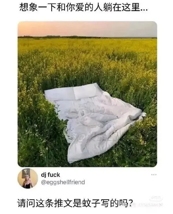 想象一下和你爱的人躺在这里...djfuck@eggshel