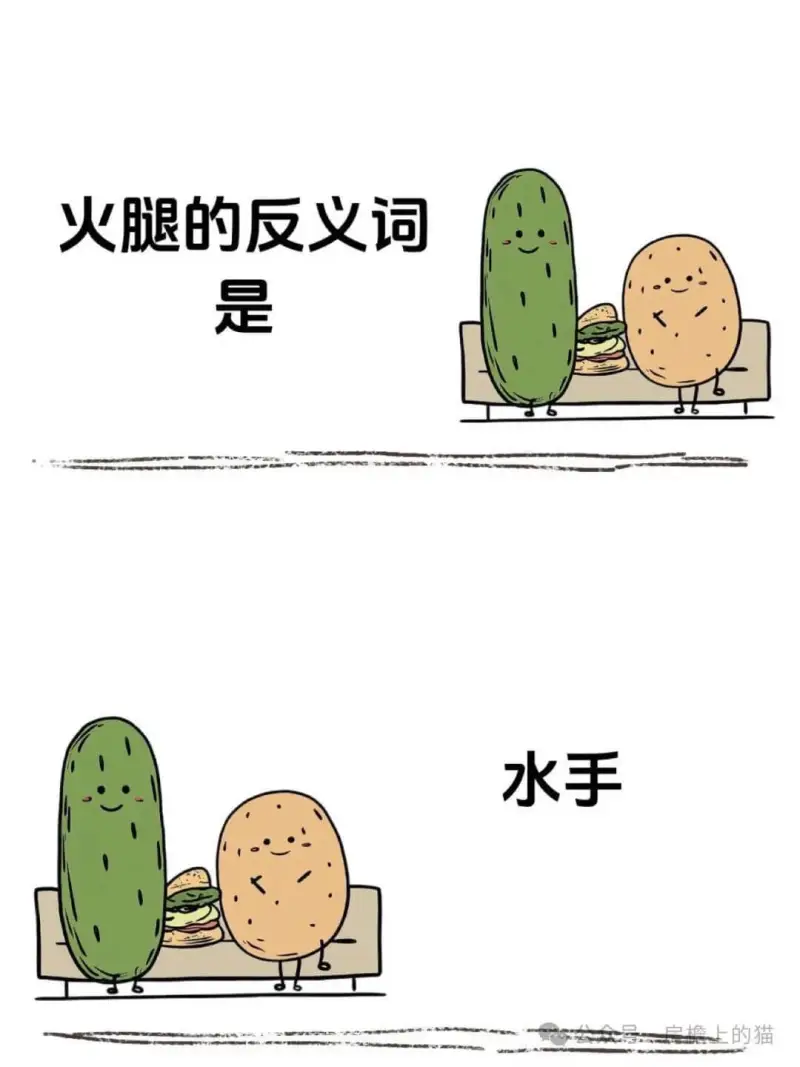 火腿的反义词是水手