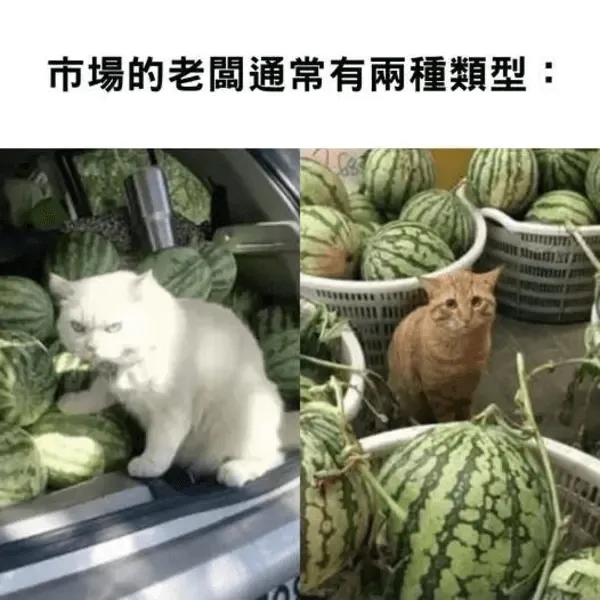 市場的老通常有雨種数型：
