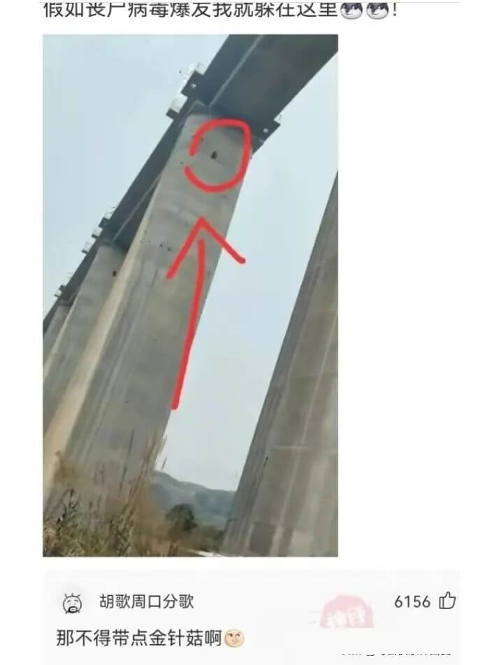 假如丧尸病毒爆友找就躲在这里胡歌周口分歌6156那不得带点金