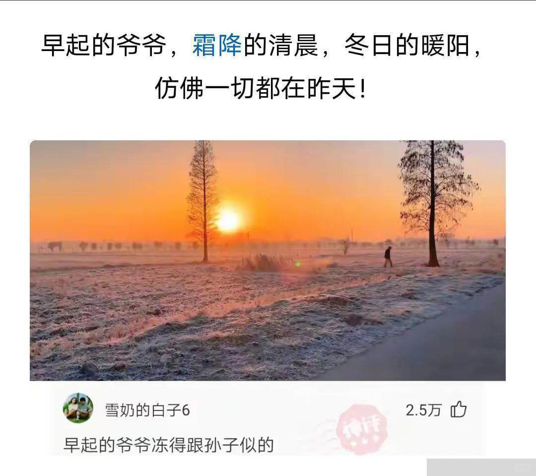 早起的爷爷，霜降的清晨，冬日的暖阳，仿佛一切都在昨天!雪奶的