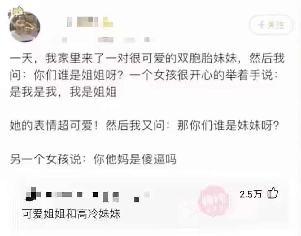 一天，我家里来了一对很可爱的双胞胎妹妹，然后我问：你们谁是姐