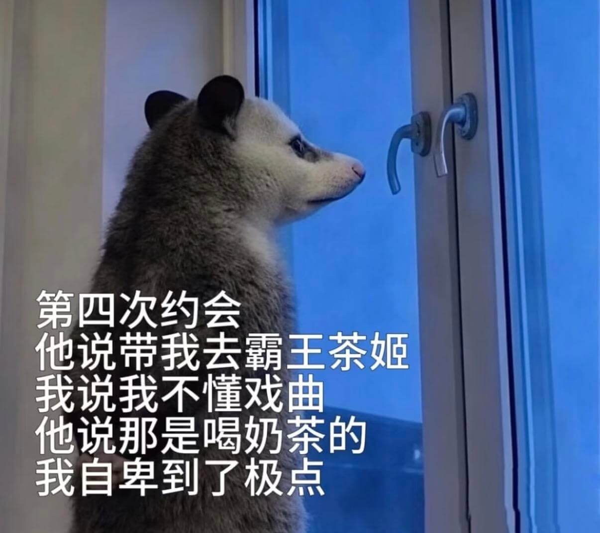 第四次约会他说带我去霸王茶姬，我说我不懂戏曲。他说那是喝奶茶