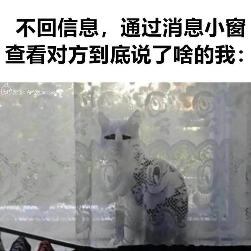 不回信息，通过消息小窗查看对方到底说了啥的我：微博：@令日回
