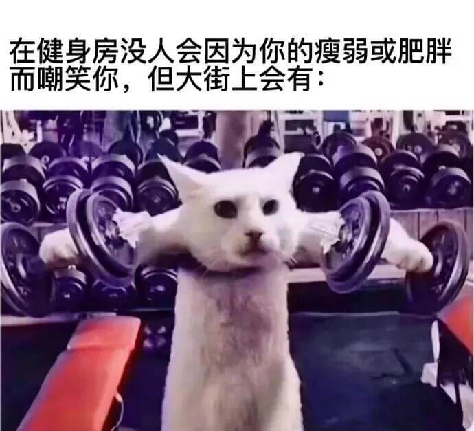 在健身房没人会因为你的瘦弱或肥胖而嘲笑你，但大街上会有：