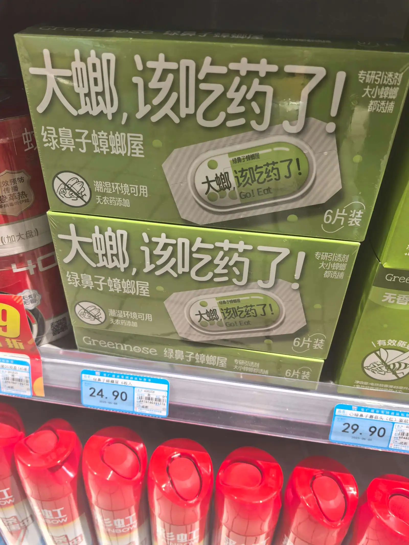 大螂,该吃药了!专研引诱剂大小蟑螂都诱捕绿鼻子蟑螂屋绿鼻子蟑