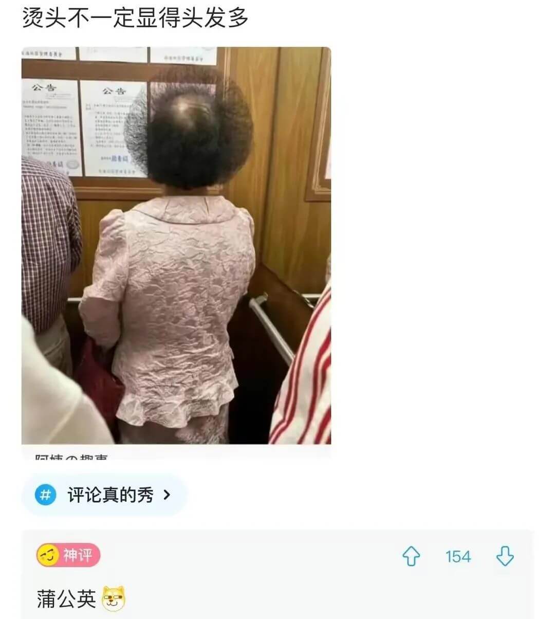 烫头不一定显得头发多公告公告井评论真的秀神评154蒲公英