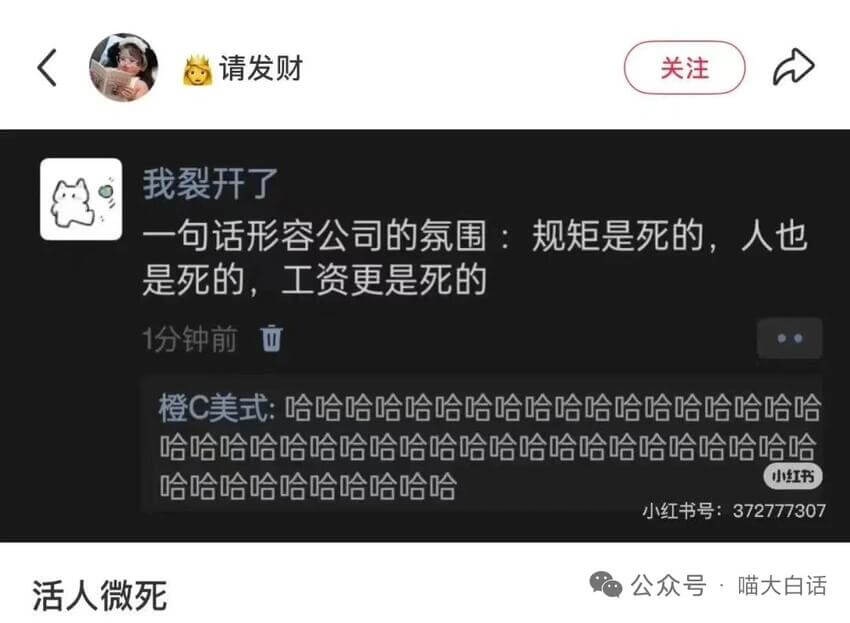 请发财关注我裂开了一句话形容公司的氛围：规矩是死的，人也是死
