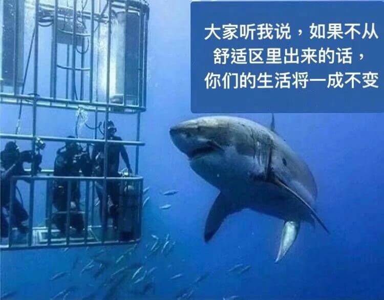 大家听我说，如果不从舒适区里出来的话，你们的生活将一成不变