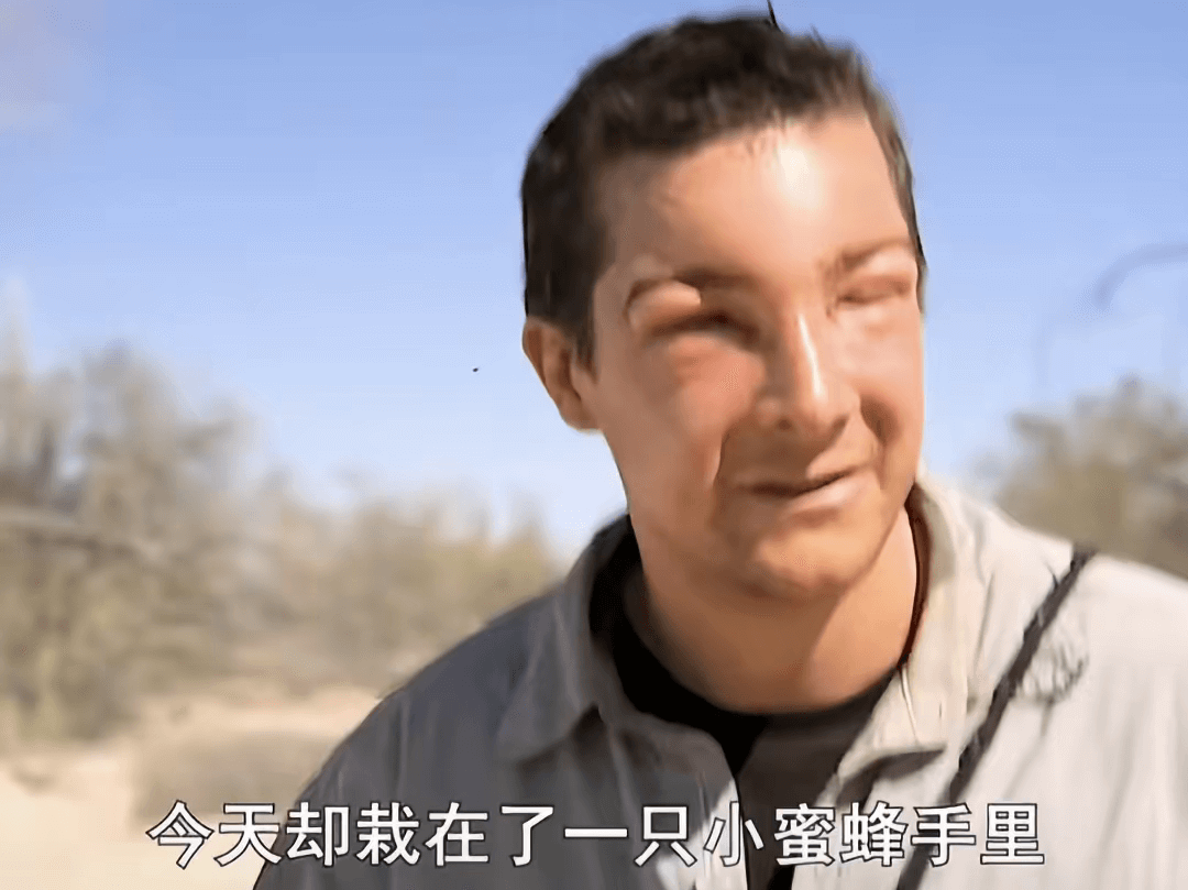 今天却栽在了一只小蜜蜂手里