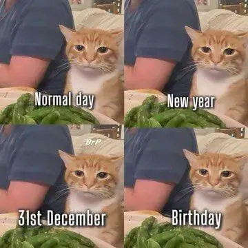 NormaldalNewyearBrf3stDecember