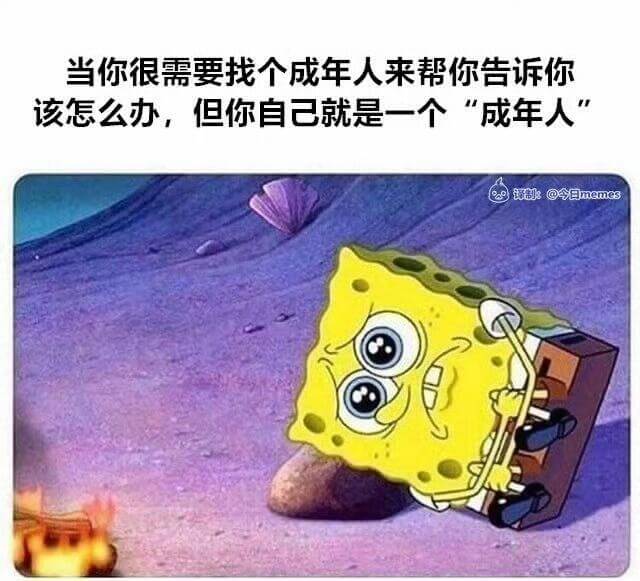 当你很需要找个成年人来帮你告诉你该怎么办，但你自己就是一个“