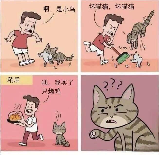 坏猫猫，坏猫猫啊，是小鸟稍后嘿，我买了只烤鸡
