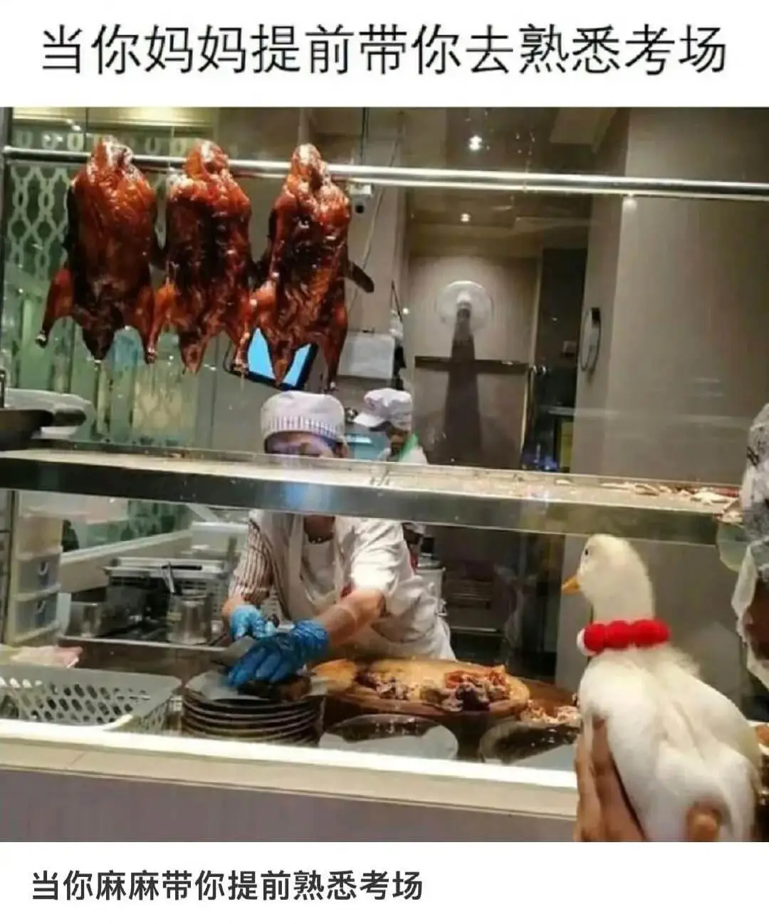 当你妈妈提前带你去熟悉考场当你麻麻带你提前熟悉考场