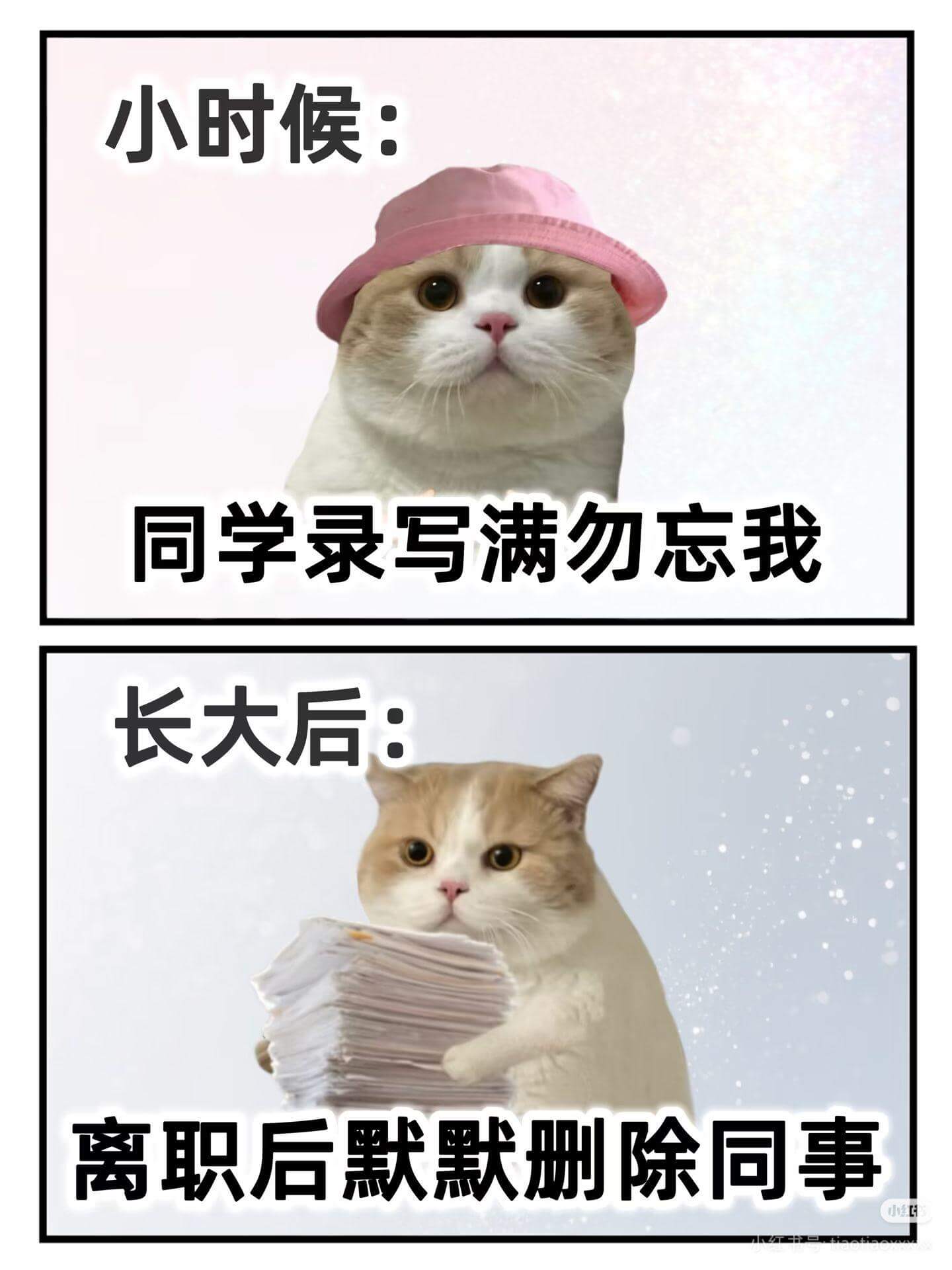 小时候:同学录写满“勿忘我”。长大后:离职后默默删除同事。小
