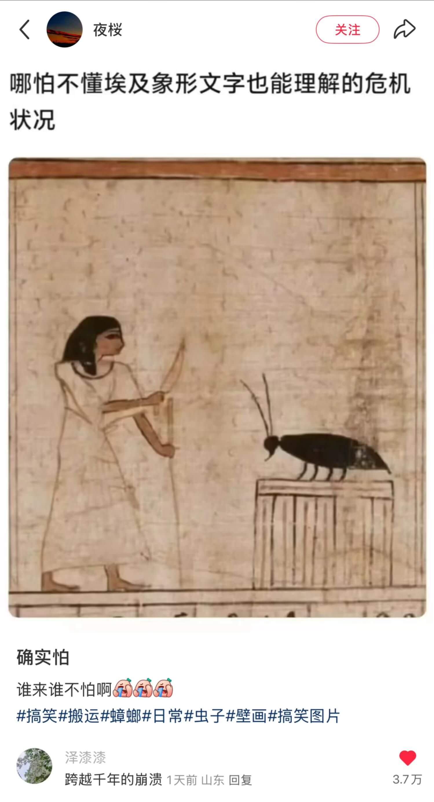 夜楼关注哪怕不懂埃及象形文字也能理解的危机状况确实怕谁来谁不