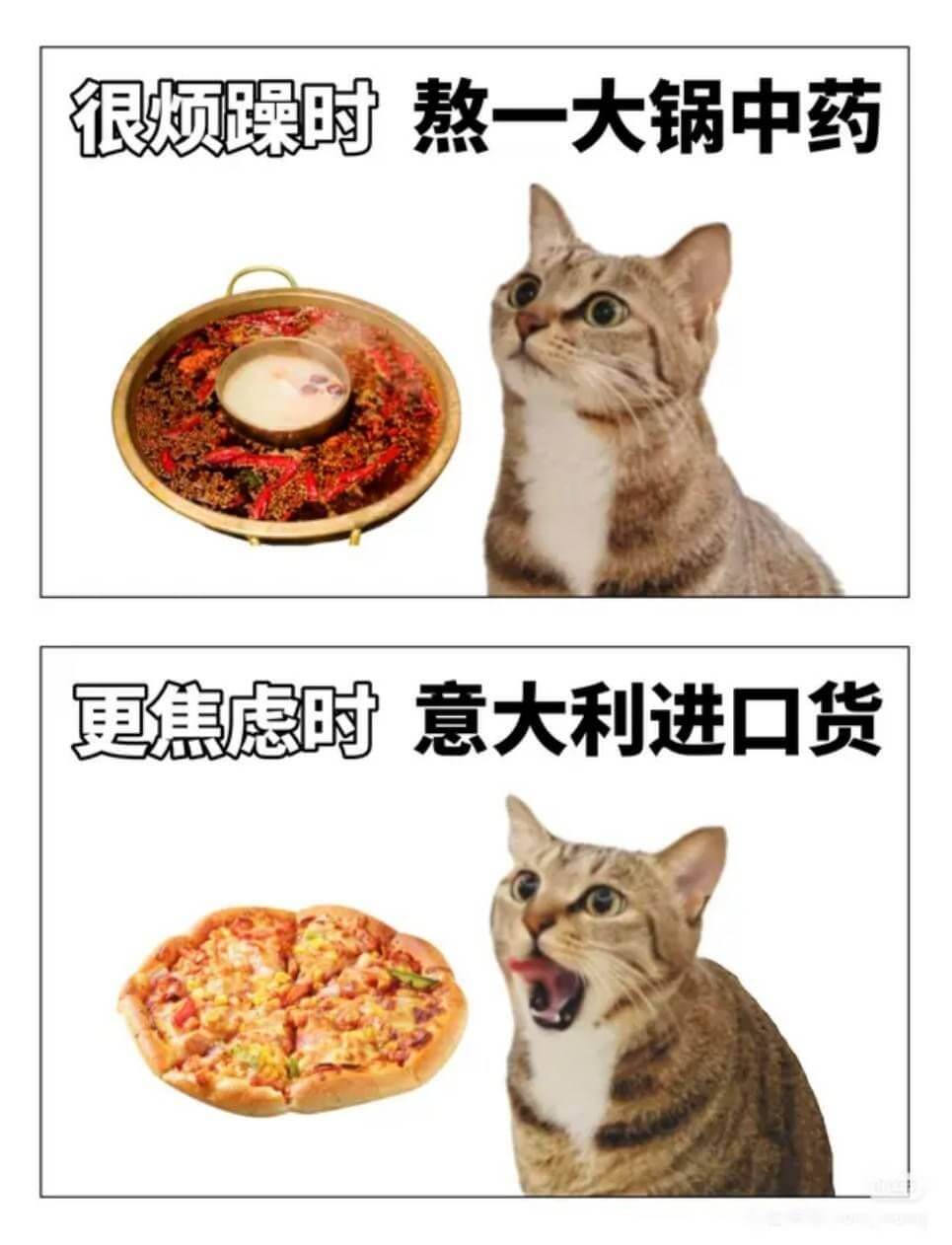 很烦躁时熬一大锅中药更焦虑时意大利进口货