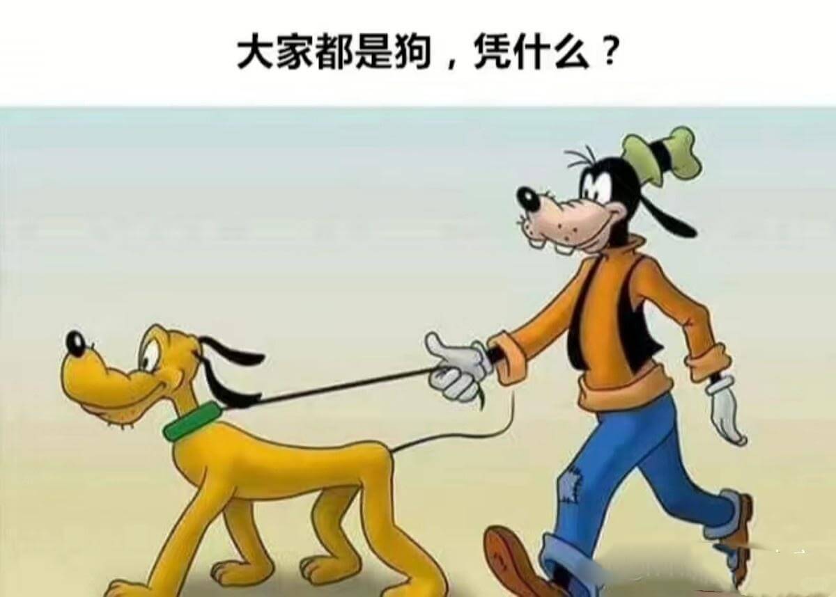 大家都是狗，凭什么?