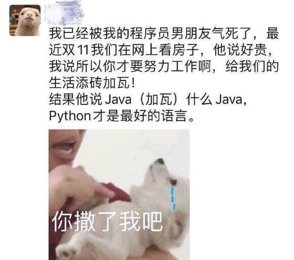 我已经被我的程序员男朋友气死了，最近双11我们在网上看房子，