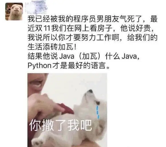 我已经被我的程序员男朋友气死了，最近双11我们在网上看房子，