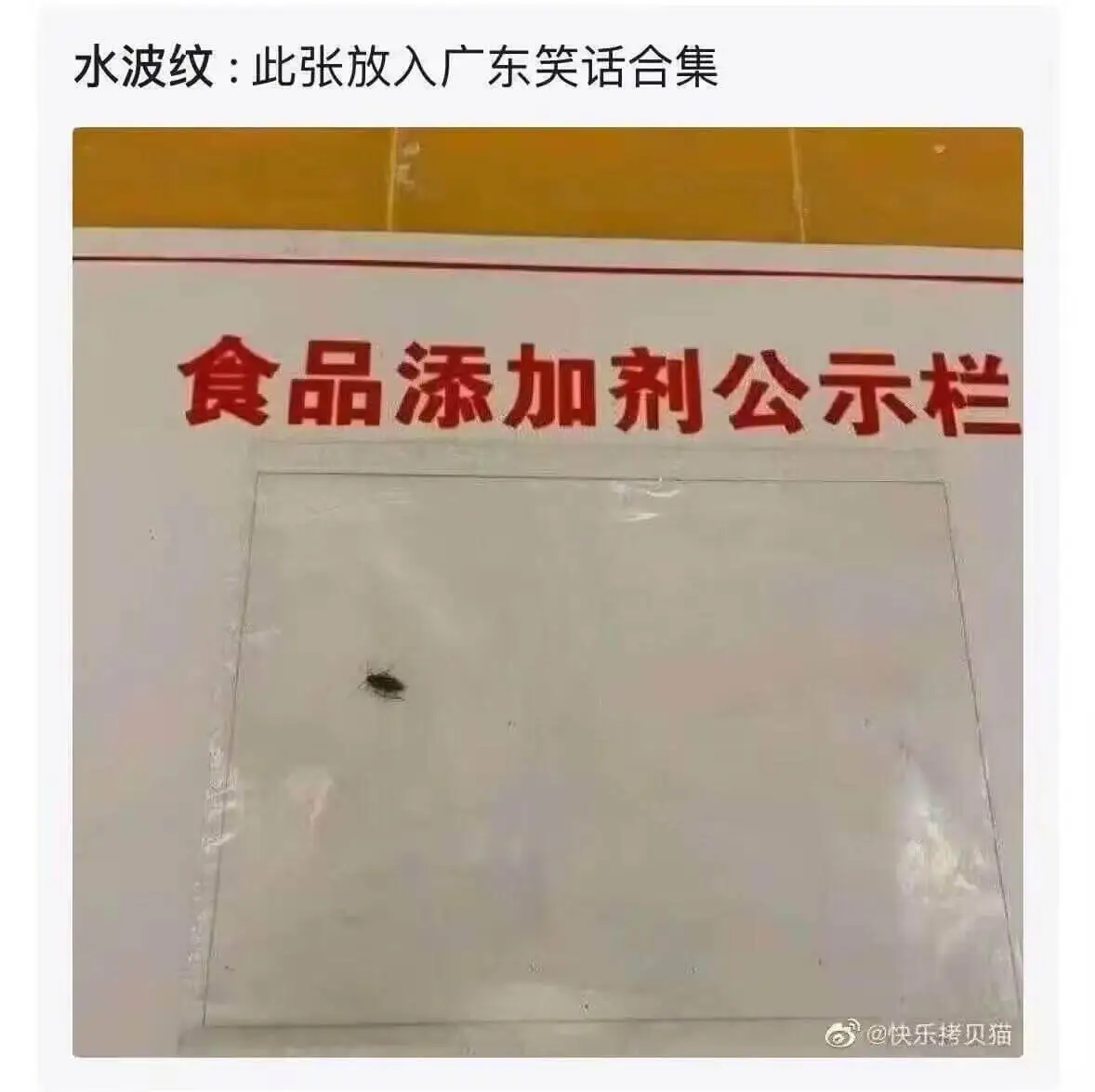 水波纹：此张放入广东笑话合集食品添加剂公示栏快乐拷贝猫