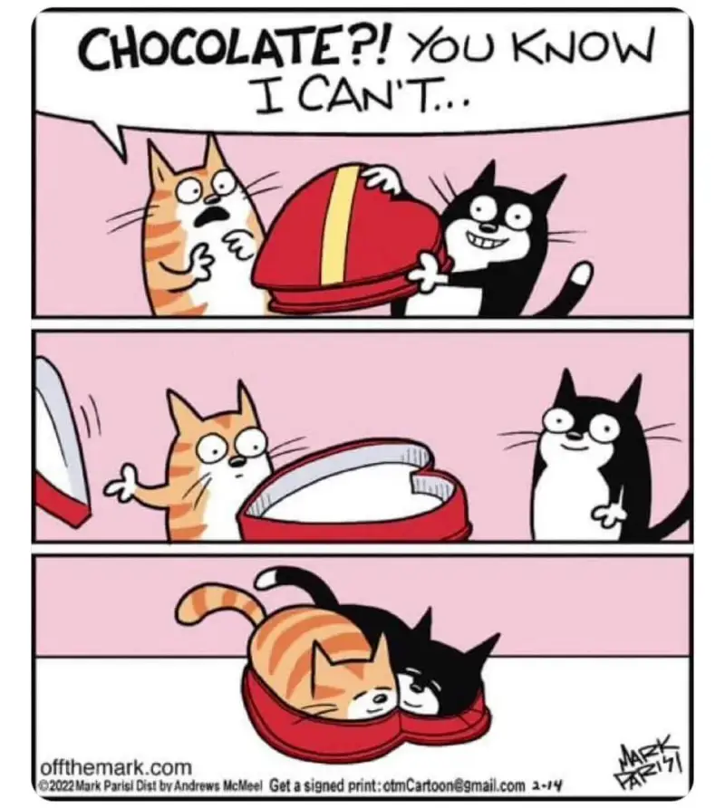 CHOCOLATE?!YOUKNOWICANT..offth