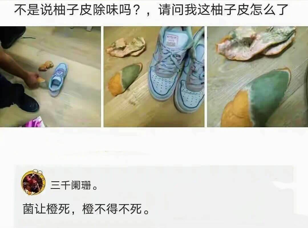 不是说柚子皮除味吗？请问我这柚子皮怎么了三千阑珊。菌让橙死，