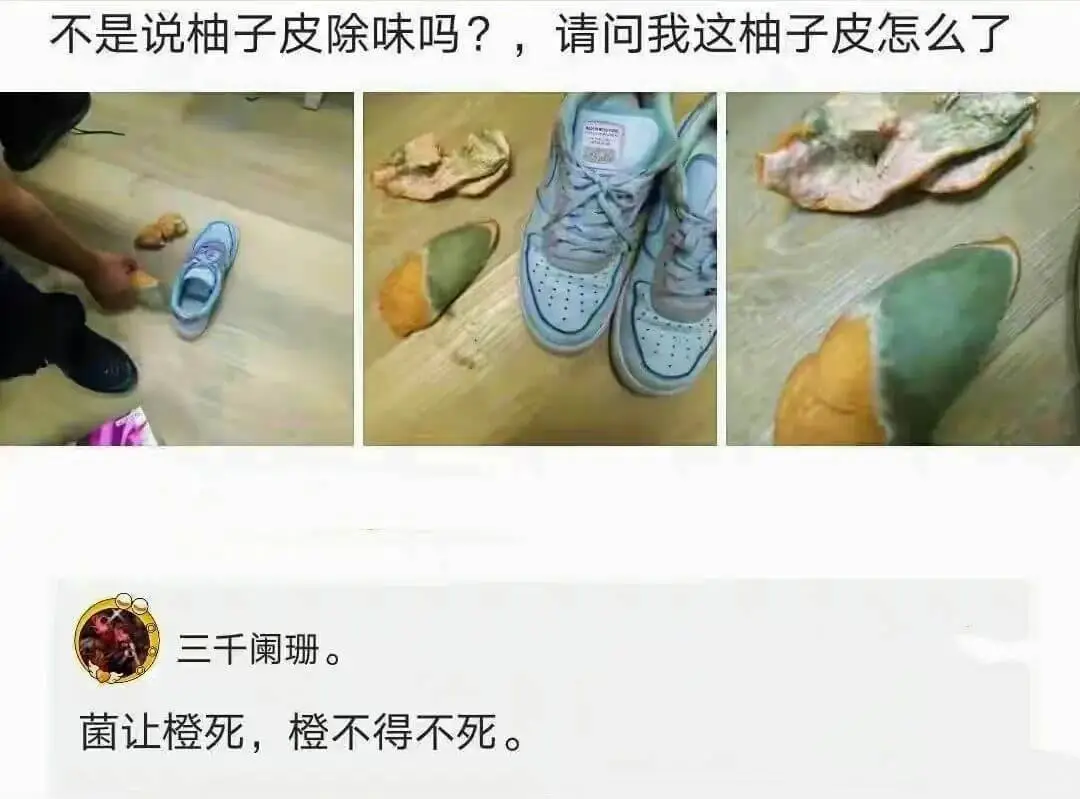 不是说柚子皮除味吗？请问我这柚子皮怎么了三千阑珊。菌让橙死，