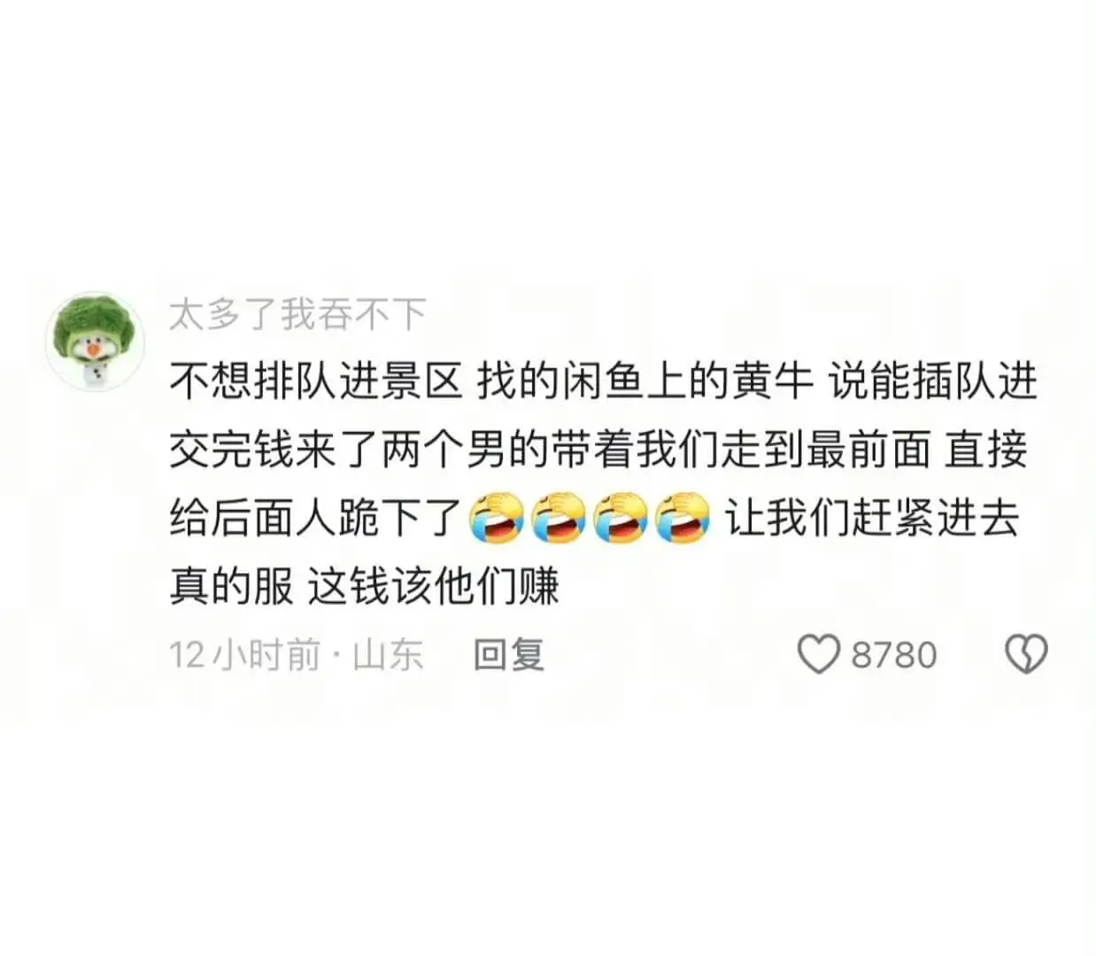 太多了我吞不下不想排队进景区，找的闲鱼上的黄牛，说能插队进。