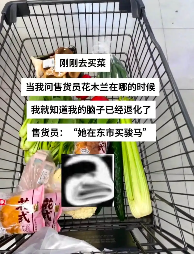 刚刚去买菜当我问售货员花木兰在哪的时候我就知道我的脑子已经退