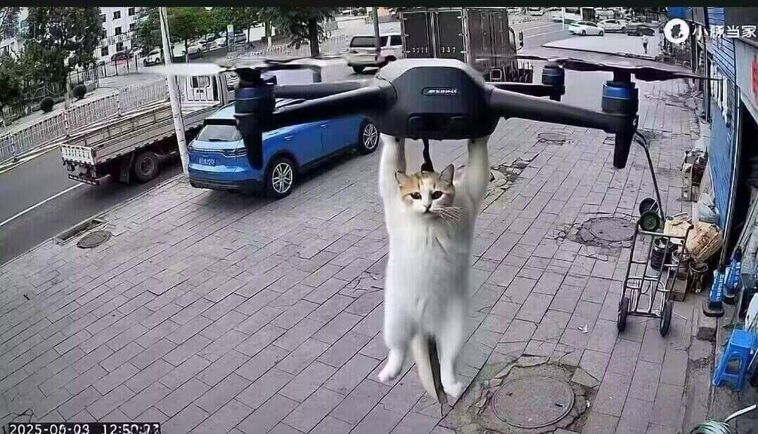 当家