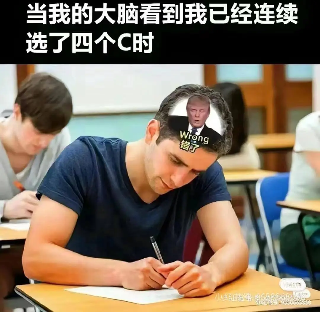 当我的大脑看到我已经连续选了四个C时小红小红书号:96573