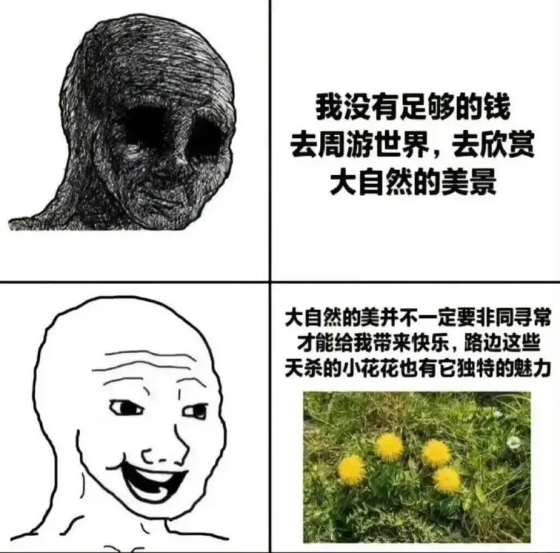 我没有足够的钱去周游世界，去欣赏大自然的美景。大自然的美并不