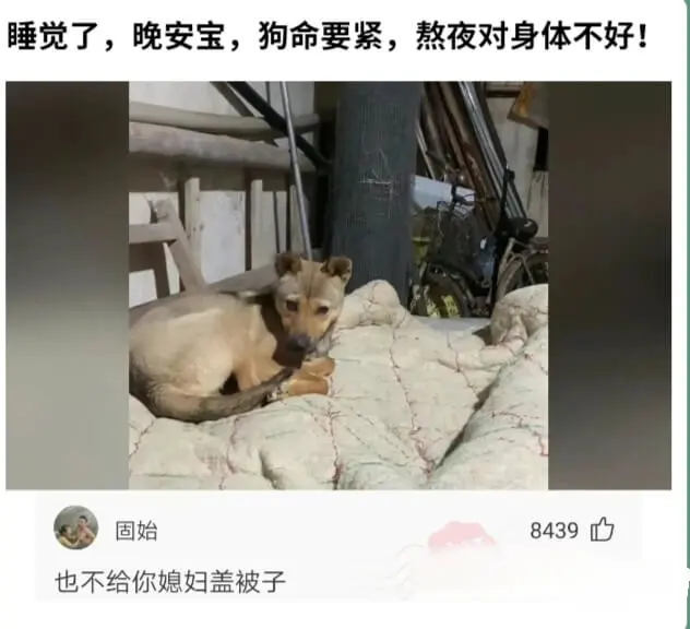 睡觉了，晚安宝。狗命要紧，熬夜对身体不好！固始8439，也不