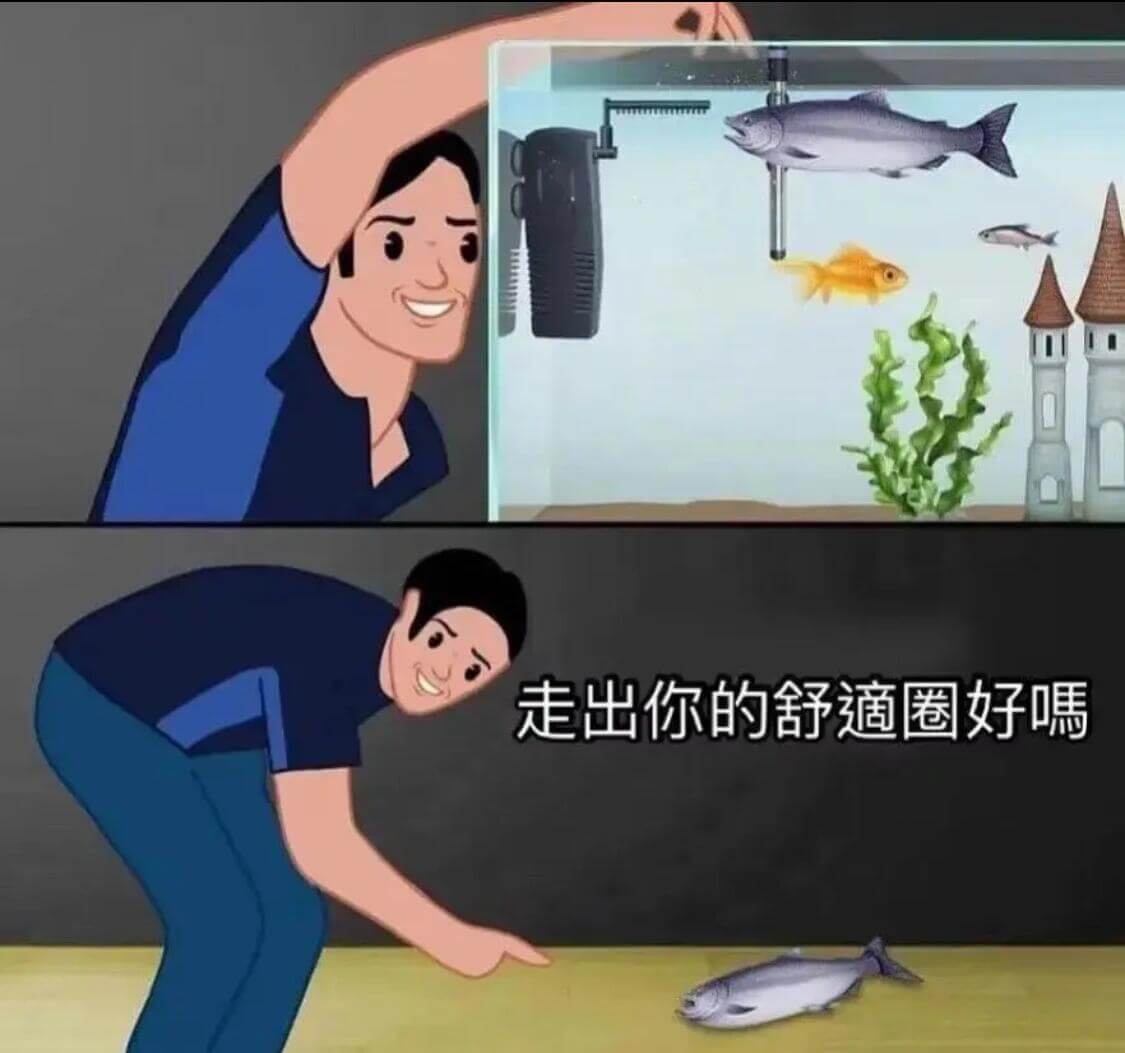 走出你的舒適圈好