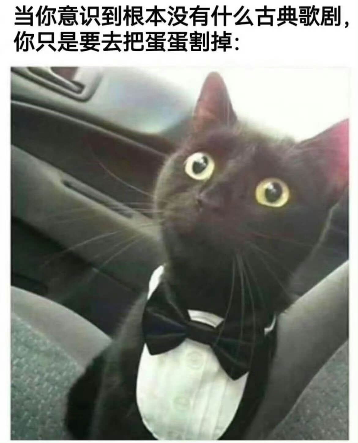 当你意识到根本没有什么古典歌剧，你只是要去把蛋蛋割掉：