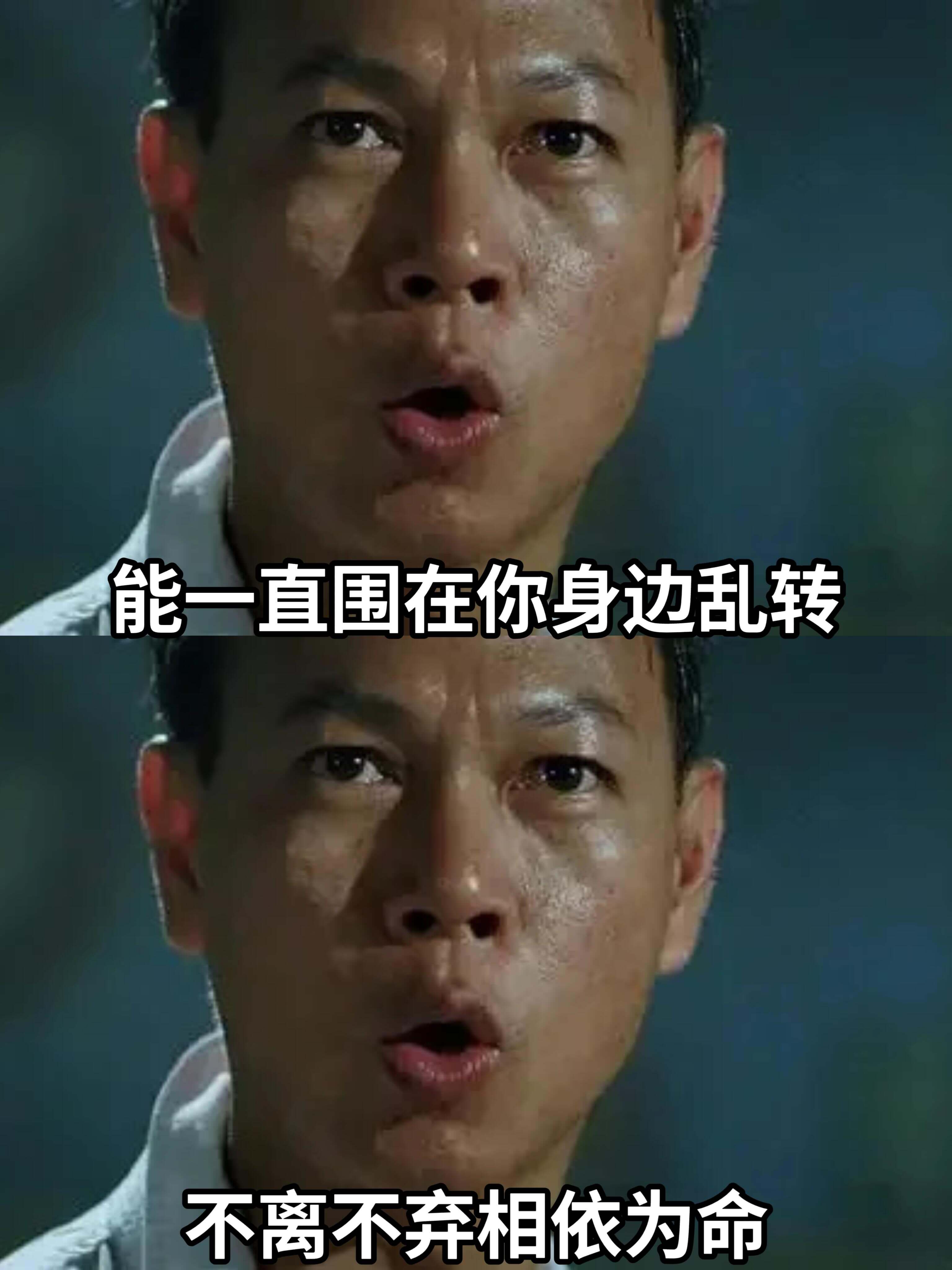 能一直围在你身边乱转不离不弃相依为命