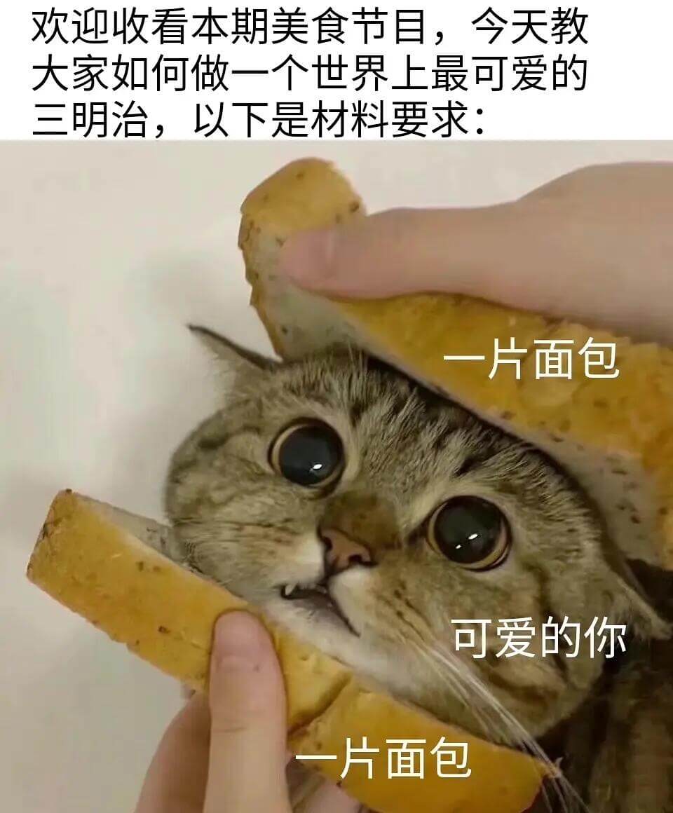 欢迎收看本期美食节目，今天教大家如何做一个世界上最可爱的三明