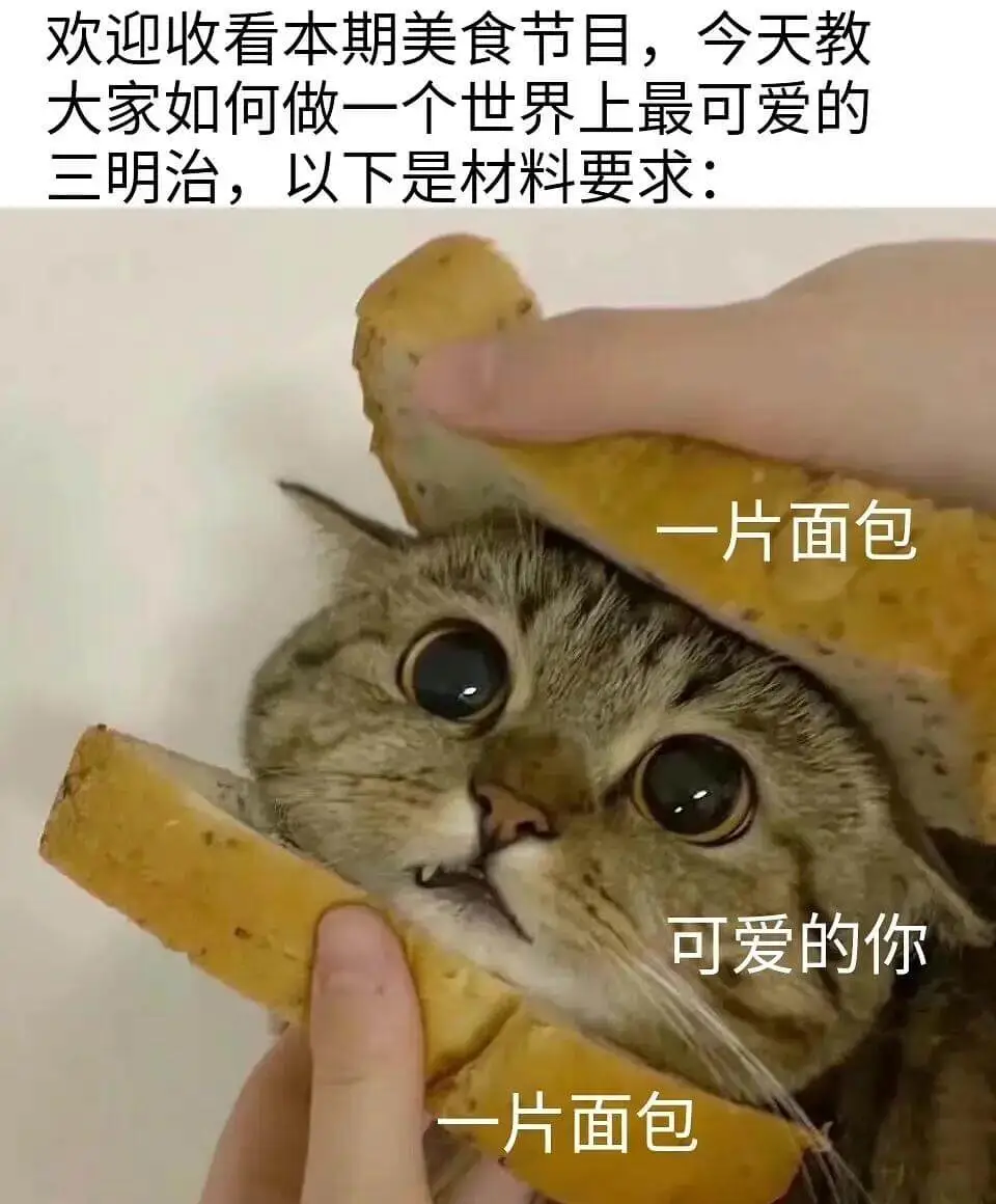 欢迎收看本期美食节目，今天教大家如何做一个世界上最可爱的三明