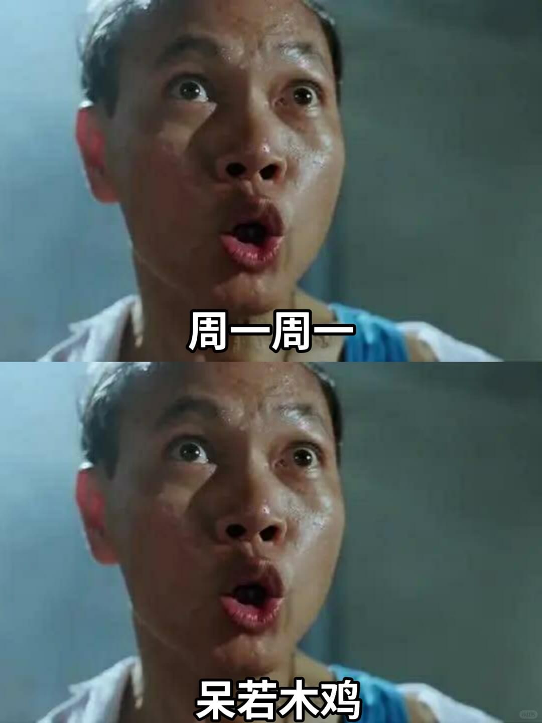 周一周一呆若木鸡