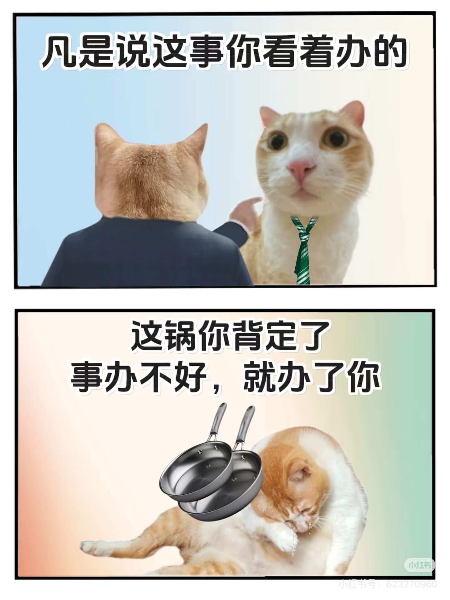 凡是说这事你看看办的这锅你背定了事办不好，就办了你小红书