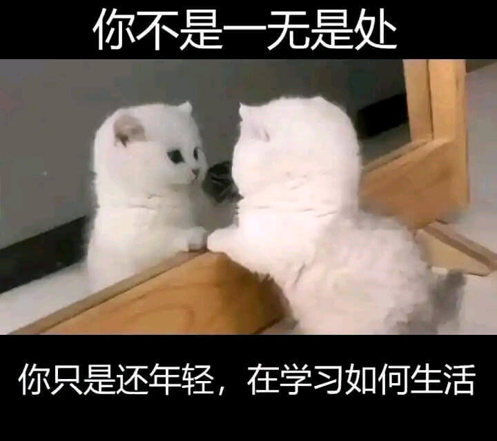 你不是一无是处你只是还年轻，在学习如何生活