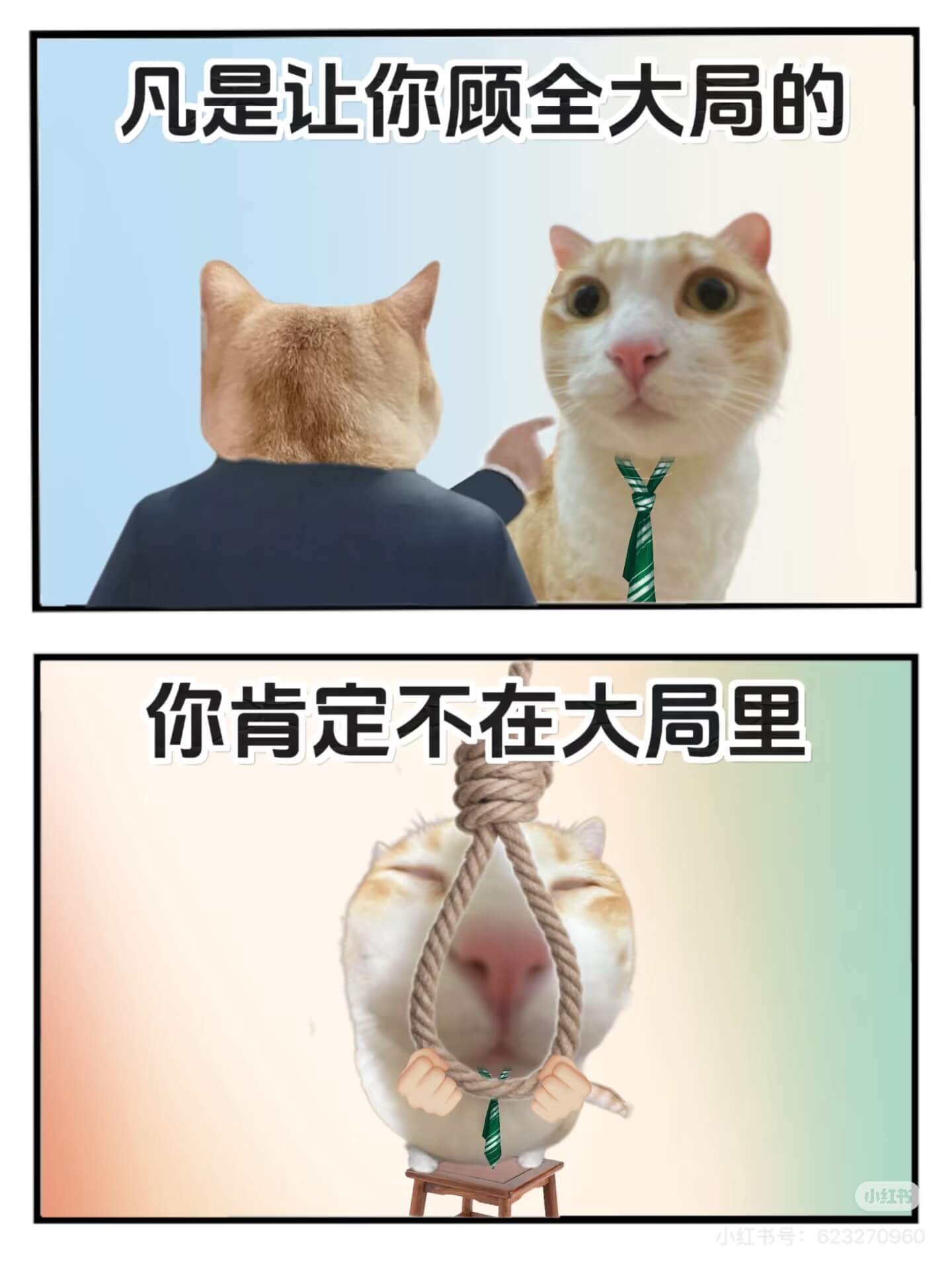 凡是让你顾全大局的，你肯定不在大局里。小红书