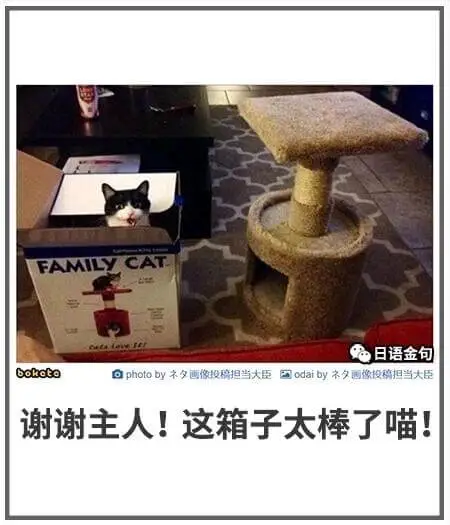 日语金句bokotoaphotoby不冬画像投精担当大臣国o